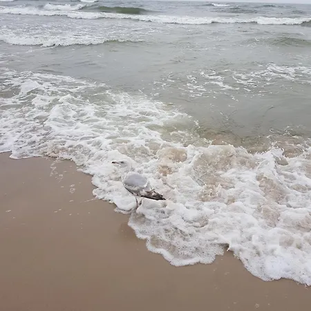 Appartement Ania Ustka